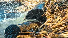 Zachód słońca nad jeziorem Dargin, marzec 2022 r. - zdjęcie 2