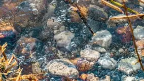 Zachód słońca nad jeziorem Dargin, marzec 2022 r. - zdjęcie 21