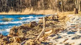 Zachód słońca nad jeziorem Dargin, marzec 2022 r. - zdjęcie 13