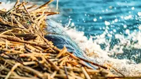 Zachód słońca nad jeziorem Dargin, marzec 2022 r. - zdjęcie 26