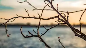 Zachód słońca nad jeziorem Bocznym, Leśna Keja - zdjęcie 34