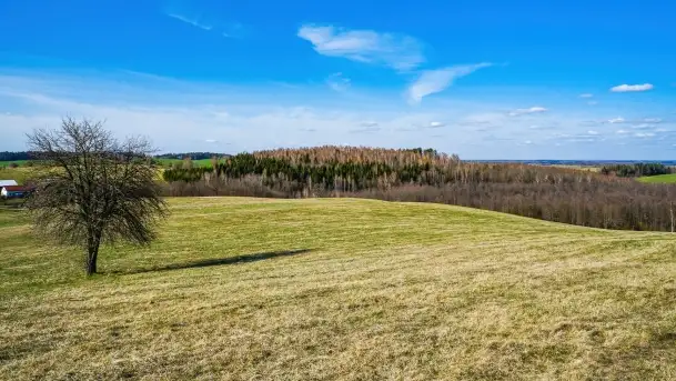 Grodzisko Galindów na Zamkowej Górze - zdjęcie 2
