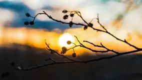 Zachód słońca nad jeziorem Stręgiel - zdjęcie 13