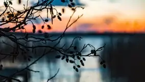 Zachód słońca nad jeziorem Stręgiel - zdjęcie 20