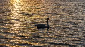 Zachód słońca nad jeziorem Jagodne - zdjęcie 43