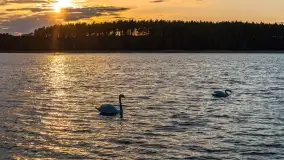 Zachód słońca nad jeziorem Jagodne - zdjęcie 16