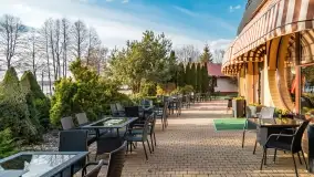 Ognisty Ptak przed kwietniowym zachodem słońca - zdjęcie 31