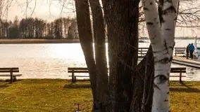 Ognisty Ptak przed kwietniowym zachodem słońca - zdjęcie 28