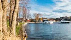 Ognisty Ptak przed kwietniowym zachodem słońca - zdjęcie 10