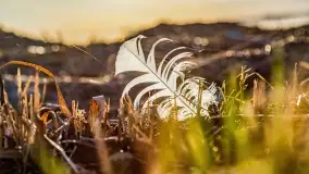 Wieczór i zachód słońca nad Darginem, kwiecień 2022 - zdjęcie 3