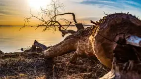 Wieczór i zachód słońca nad Darginem, kwiecień 2022 - zdjęcie 13