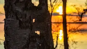 Wieczór i zachód słońca nad Darginem, kwiecień 2022 - zdjęcie 24