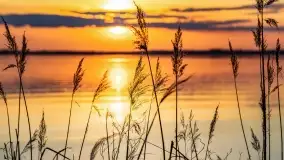 Wieczór i zachód słońca nad Darginem, kwiecień 2022 - zdjęcie 38