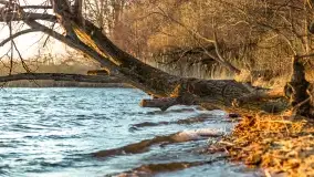 Zachód słońca nad jeziorem Dobskim, kwiecień 2022 - zdjęcie 22