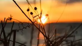 Zachód słońca nad jeziorem Dobskim, kwiecień 2022 - zdjęcie 30