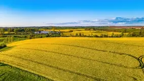 Złote, rzepakowe mazurskie pola z jeziorami w tle - zdjęcie 45
