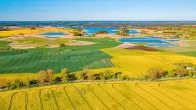Złote, rzepakowe mazurskie pola z jeziorami w tle - zdjęcie 82