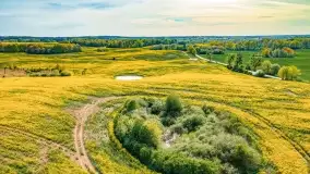 Złote, rzepakowe mazurskie pola z jeziorami w tle - zdjęcie 72