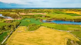 Złote, rzepakowe mazurskie pola z jeziorami w tle - zdjęcie 91