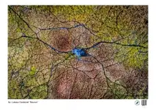 Kobiety fotografują na Mazurach. Niezwykły festiwal w Wojnowie - zdjęcie 14