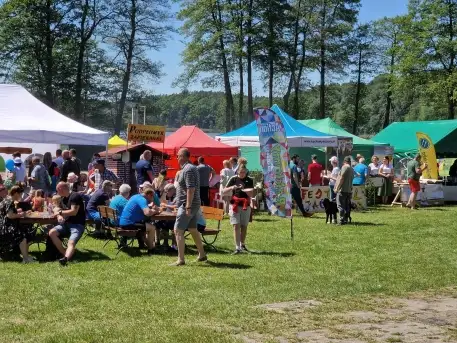 Mazury Zachodnie od kuchni - zdjęcie 2