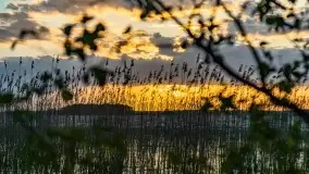 Zachód słońca nad jeziorem Dargin, maj 2022 r. - zdjęcie 24