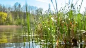 Wiosenne widoki przy jeziorach Ublik - zdjęcie 126