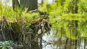 Wiosenne widoki przy jeziorach Ublik - zdjęcie 90