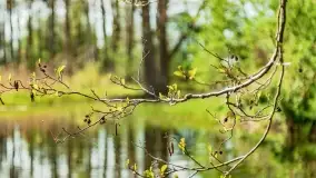 Wiosenne widoki przy jeziorach Ublik - zdjęcie 123