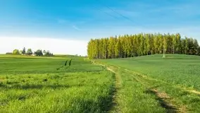 Wiosenne widoki przy jeziorach Ublik - zdjęcie 117