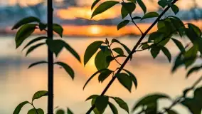 Zachód słońca nad jeziorem Niegocin, maj 2022 r. - zdjęcie 36