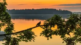 Wschód słońca nad jeziorem Mamry, Stanica Wodna Kietlice, czerwiec 2022 - zdjęcie 48