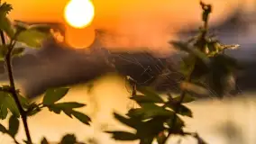 Wschód słońca nad jeziorem Mamry, Stanica Wodna Kietlice, czerwiec 2022 - zdjęcie 22