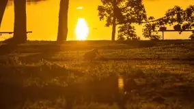 Wschód słońca nad jeziorem Mamry, Stanica Wodna Kietlice, czerwiec 2022 - zdjęcie 55