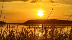 Zachód słońca nad jeziorem Kirsajty, koniec maja 2022 - zdjęcie 22