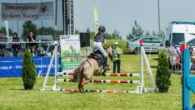 Sulimiada 2022, zobacz naszą fotorelację - zdjęcie 29