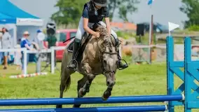 Sulimiada 2022, zobacz naszą fotorelację - zdjęcie 67