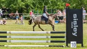 Sulimiada 2022, zobacz naszą fotorelację - zdjęcie 33