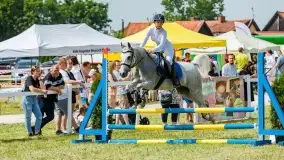 Sulimiada 2022, zobacz naszą fotorelację - zdjęcie 90