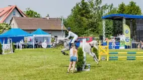 Sulimiada 2022, zobacz naszą fotorelację - zdjęcie 95