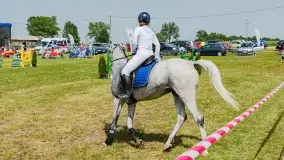 Sulimiada 2022, zobacz naszą fotorelację - zdjęcie 93