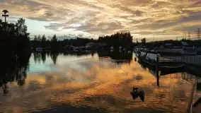 Rejsy wycieczkowe z Węgorzewa nad jezioro Mamry - zdjęcie 4