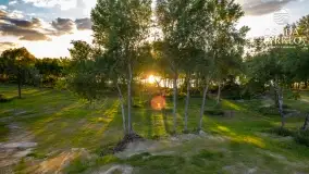 Osada Tyrkło przy szlaku WJM, wizualizacja nowej inwestycji na Mazurach - zdjęcie 12