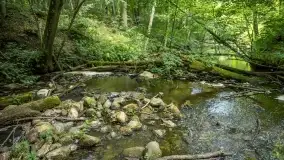 Fotorelacja - Rowerem po zagubionych wioskach Puszczy Piskiej - zdjęcie 26