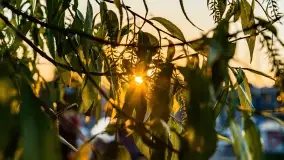 Zachód słońca w porcie AZS Wilkasy - zdjęcie 30