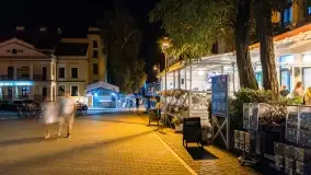 Nocne Mikołajki u schyłku wakacji, sierpień 2022 - zdjęcie 15