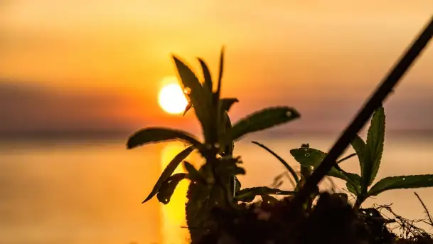 Zachód słońca nad jeziorem Dobskim w Fuledzie, czerwiec 2022 - zdjęcie 5