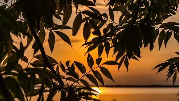 Zachód słońca nad jeziorem Dobskim w Fuledzie, czerwiec 2022 - zdjęcie 10