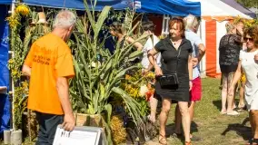 Fotorelacja z dożynek w Nowych Gutach, sierpień 2022 - zdjęcie 70