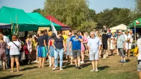 Fotorelacja z dożynek w Nowych Gutach, sierpień 2022 - zdjęcie 97